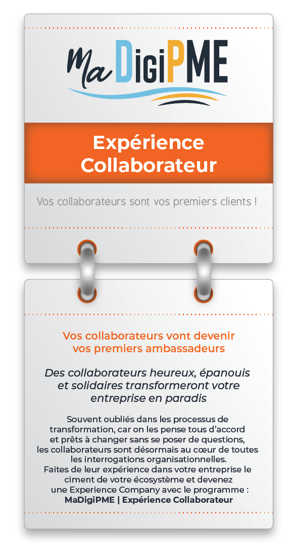 experience_collaborateur